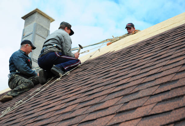 Best Flat Roof Repair Services  in Lathrup Village, MI